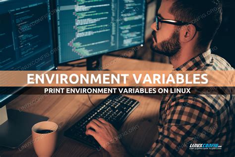 how to print environment variables in linux and why it's important to understand the concept of environment variables in software development