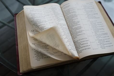 what are the 14 books removed from the bible? exploring the lost scriptures of the Christian tradition